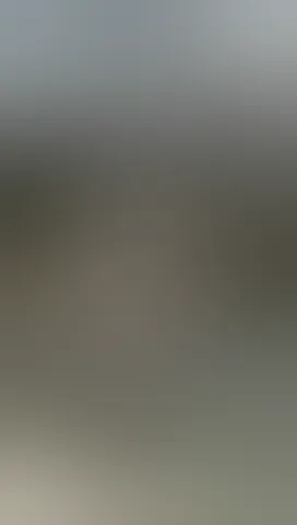 Watch this video!