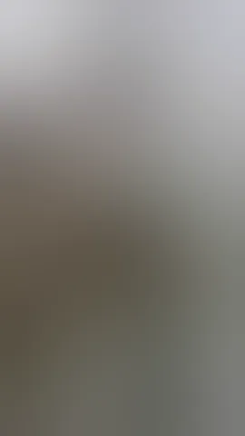 Latina brunette fucks her ass on all fours with a toy and rubs her pussy