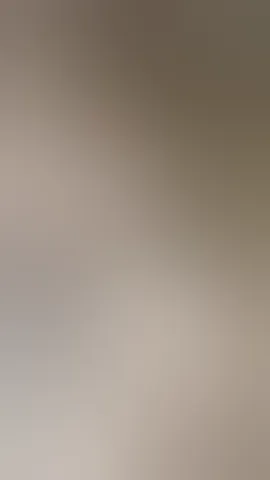 Blowjob 
