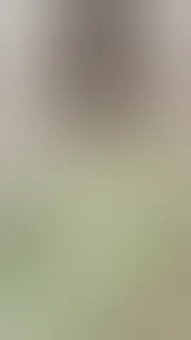You came back. Again. You want something nice. First,