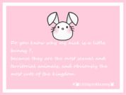 LittlePinkBunnny