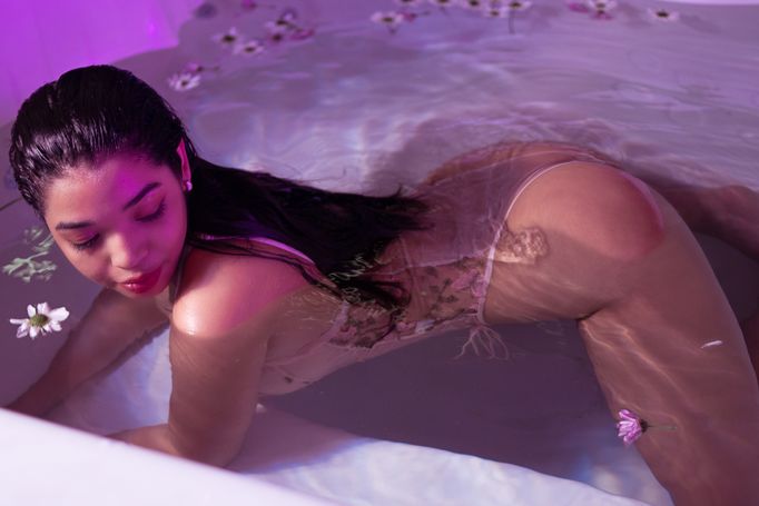 LilyyFox