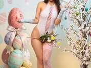 Vixen_Flutter