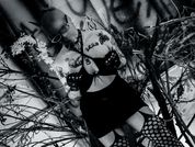 AmySpider