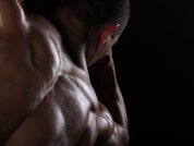 Adam_hot
