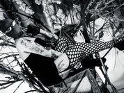 AmySpider