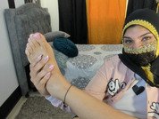 AniFoxx