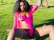 Cocofairy