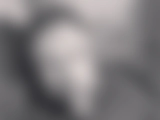 Allergictocam profile