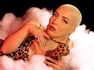 CaamilaChain profile