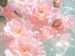 PrincessEllz profile