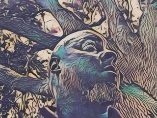 WhoMeFla profile