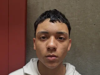 animcieloois profile