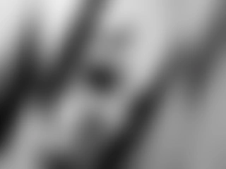 kimberly_proyect profile