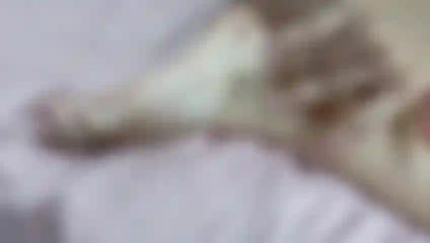 Valuta il corpo di abby.