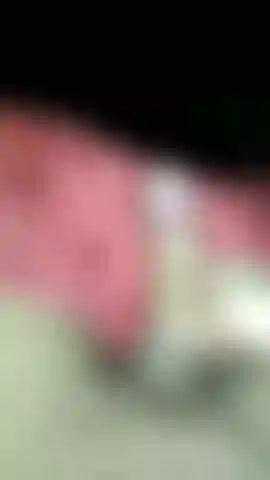 Un cazzo duro e bagnato.