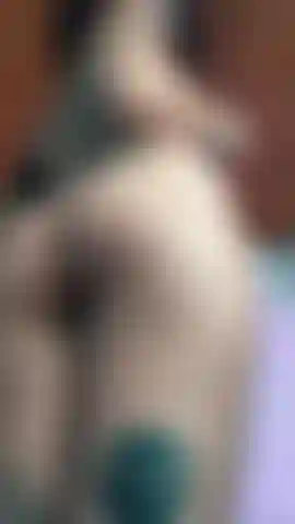 i shake my naked ass