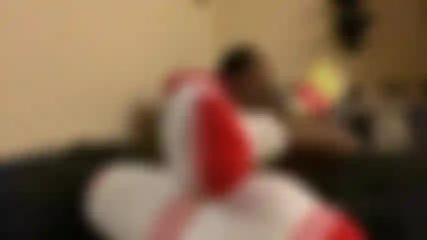 Il calzino bianco ignora la lettura e la mangia.