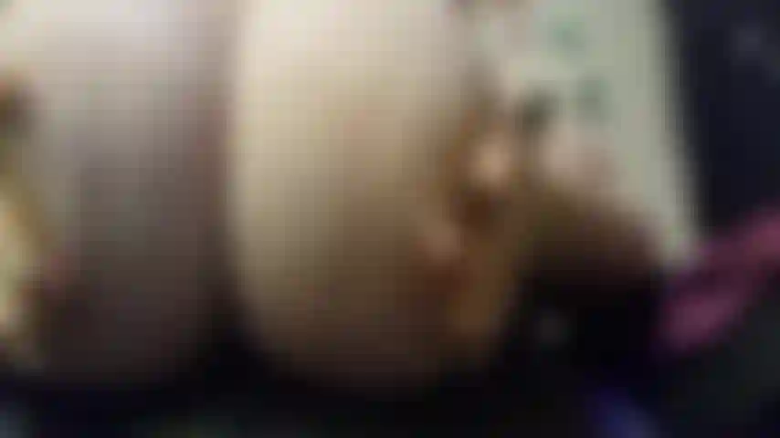 Jiggle veloce da vicino.