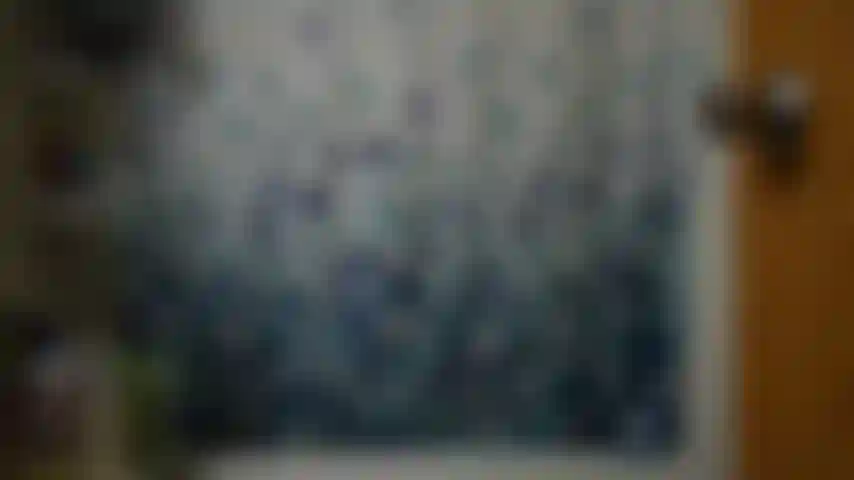 Roomie joi cum chiarezza.