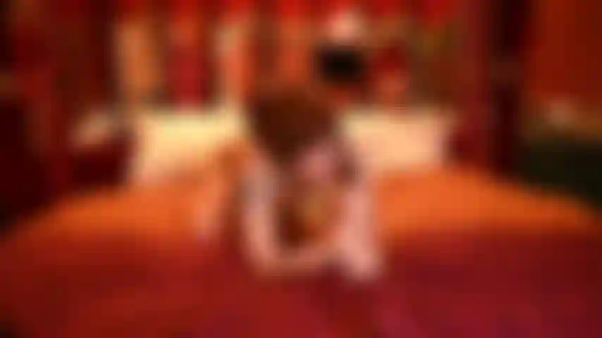 Una scopata romantica con la primula.