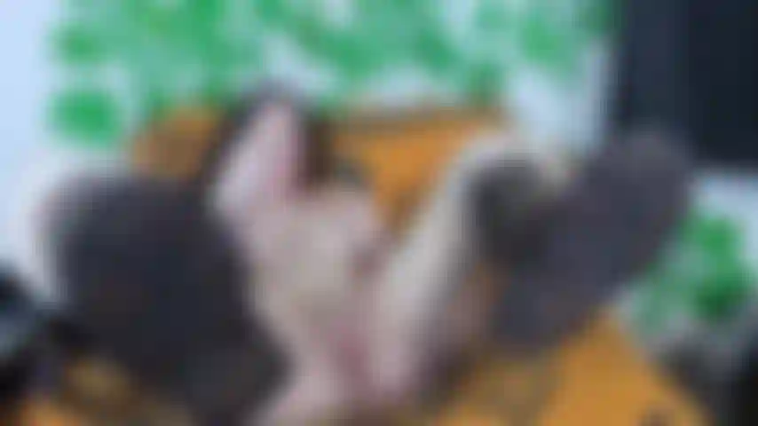 Masturbo con un dildo di vetro nei miei stivali ugg.