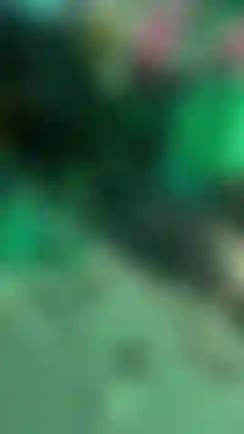 Sensual and delicious close-up, sucking MY BIG TITS FOR YOU