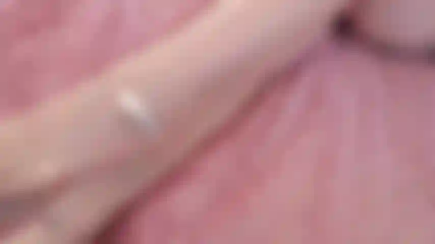 BRAND NEW FACIAL REAL COCK HOMEWRECKER FANTASY