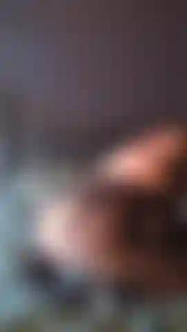 Provocatrice di culo.