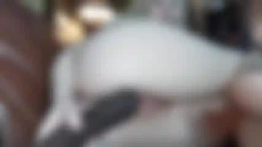 Cazzo di giocattolo mostruoso (raro per me), prendi tutta la circonferenza.