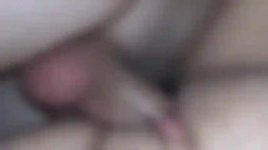 4 Il creampie del giorno.