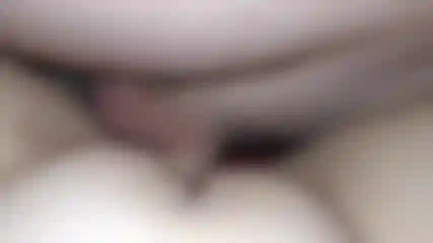 Creampie con la spinta della figa.