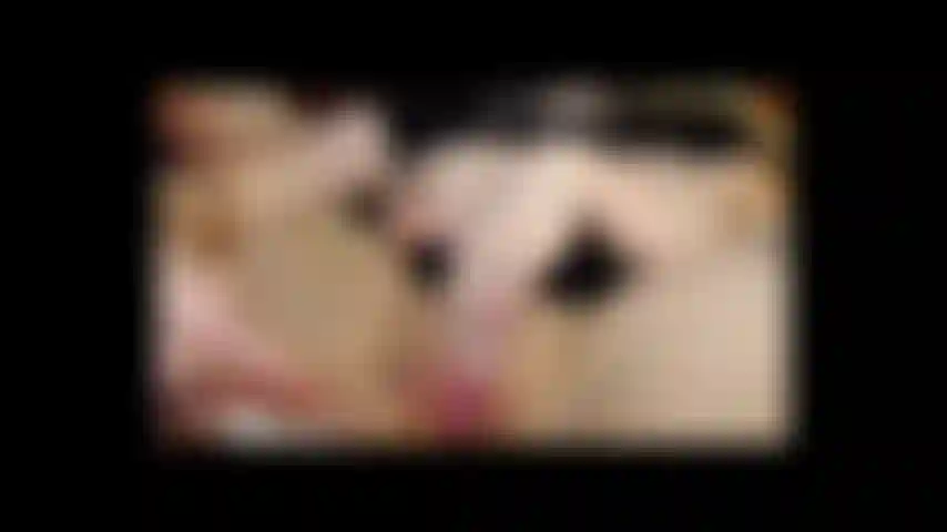 Sborrata sulla clip della figa da un video più lungo.