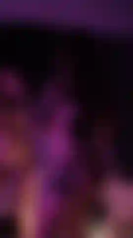 Una danzatrice del ventre sexy.