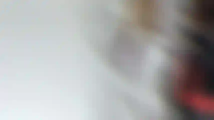 Una bella ragazza sexy.