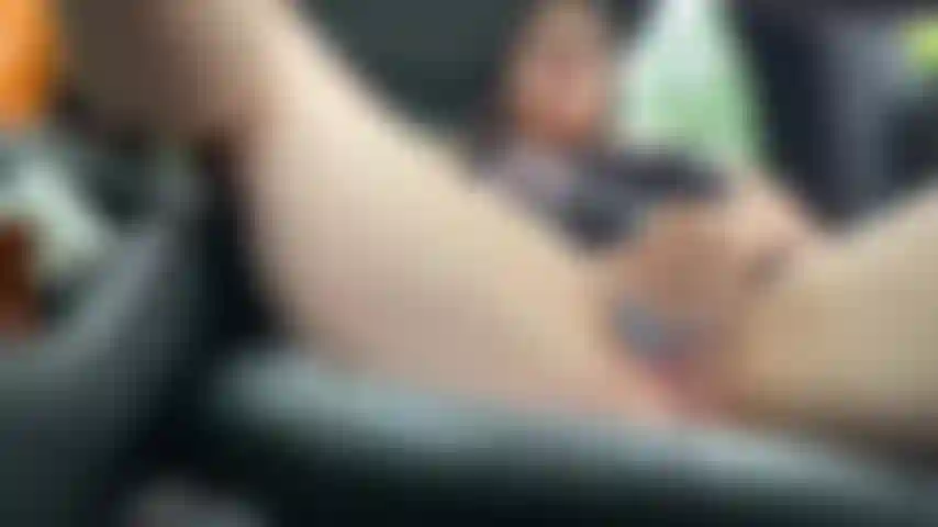 Gioco di auto del parco statale sativa.