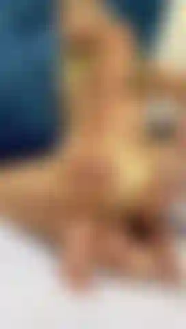 I'm so fucking horny, one fuck won't be enough for me, my pussy wants a lot of sex