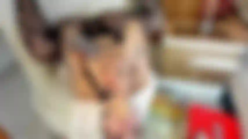 Watch me lose control