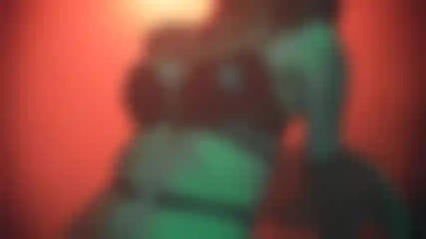 Lingerie in pelle e donna sexy.