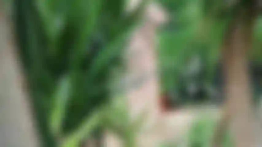 Estate dopo il lockdown :).