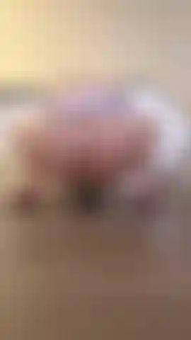 Cavalco il mio dildo indossando il mio maglione virgin killer. La mia figa è così stretta omg.