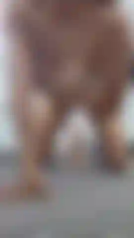 Giocherò con me stessa finché il mio corpo non ne potrà più... Ti piace questa visuale per dare il via al gioco?