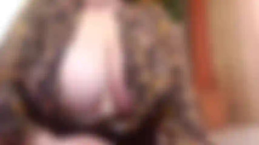 Una cowgirl al contrario e un bj 4 "papà" pov che sbava sul tuo grosso cazzo e poi lo infila nella mia piccola figa e guarda il mio culo rimbalzare mentre lo prendo tutto!