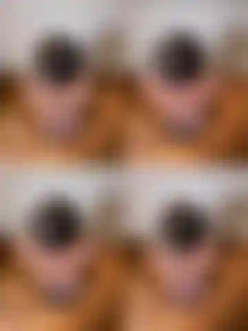 Il gattino accarezza.