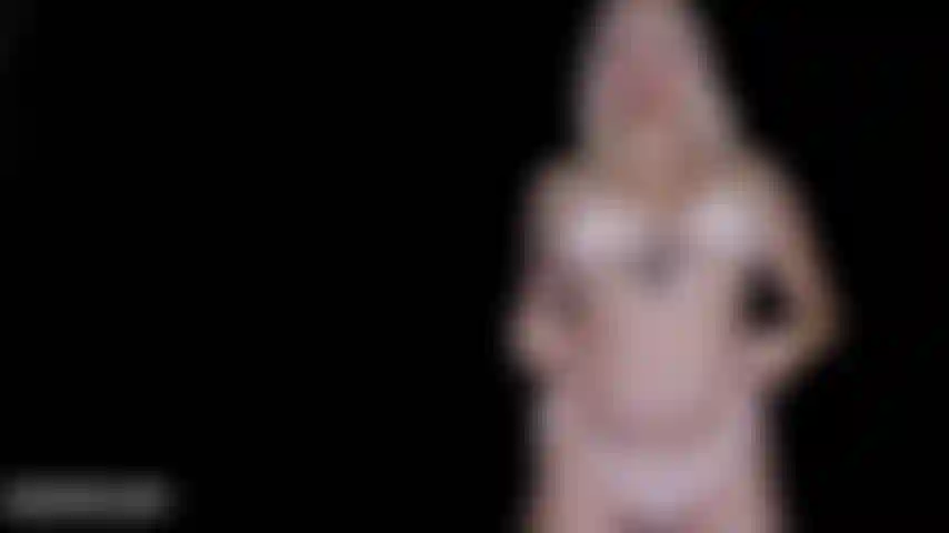 Adorazione del bikini.