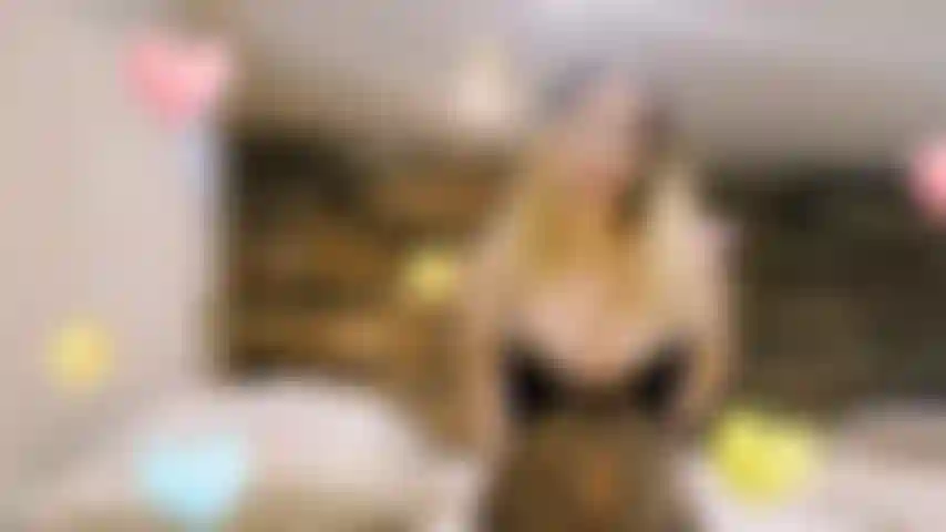 Pronta per essere inveita dal mio alfa.