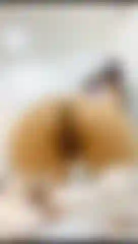 Adoro il mio culo e i miei piedi.