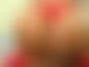 ( Leggin blu e marrone chiaro deepthroat, joi e conto alla rovescia). Ti prendo in giro con il mio culo succoso, mentre provo i leggins. Goditi le mie grandi tette che rimbalzano mentre succhio quel cazzo. Vieni a questo culo in legginds papà.