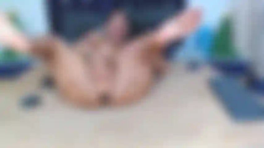 Scopo forte e veloce la mia figa bagnata.