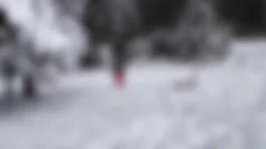 Il mio paesaggio preferito in inverno.